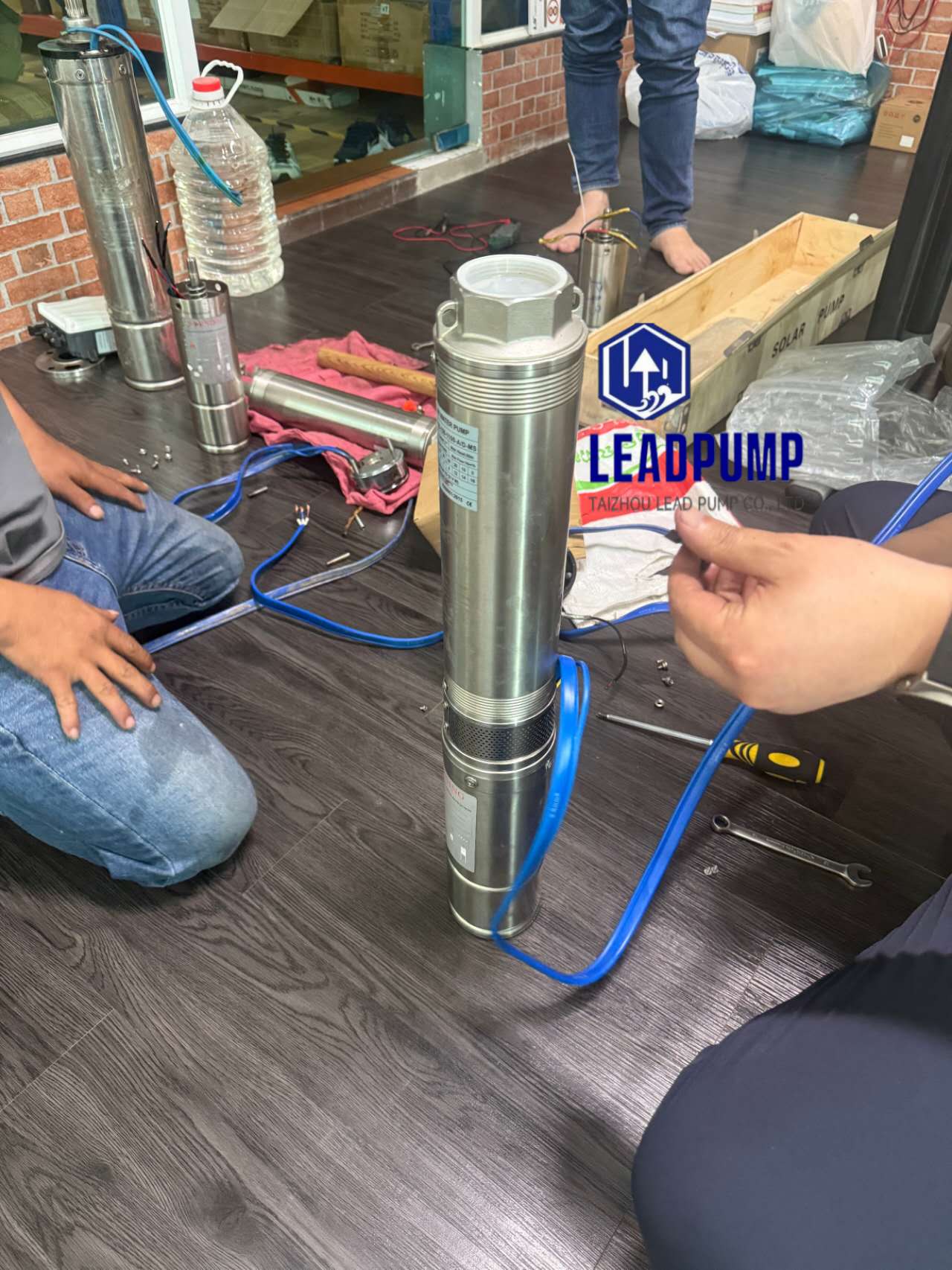 Taizhou Lead Pump Co., Ltd бросает вызов клиенту в Юго -Восточной Азии с проблемой солнечного водяного насоса